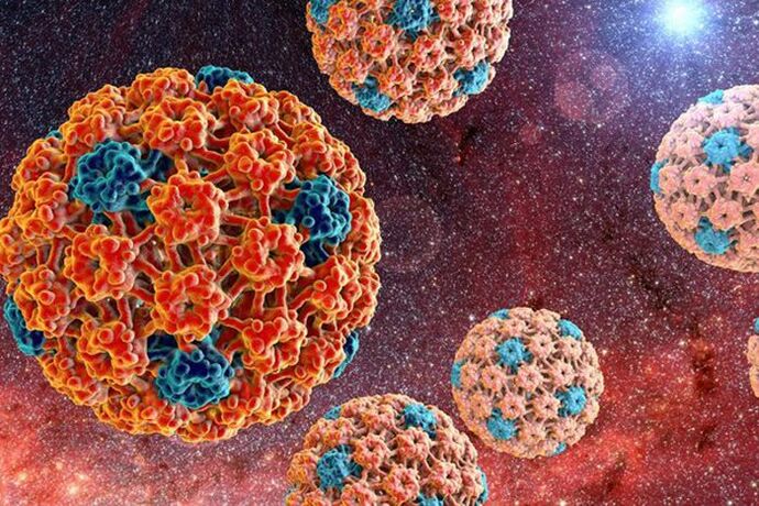 cum se transmite papilomavirusul uman