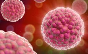 simptomele și tratamentul papilomavirusului uman