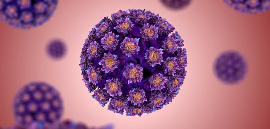 cum arată papilomavirusul uman
